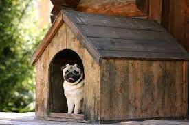 pet house